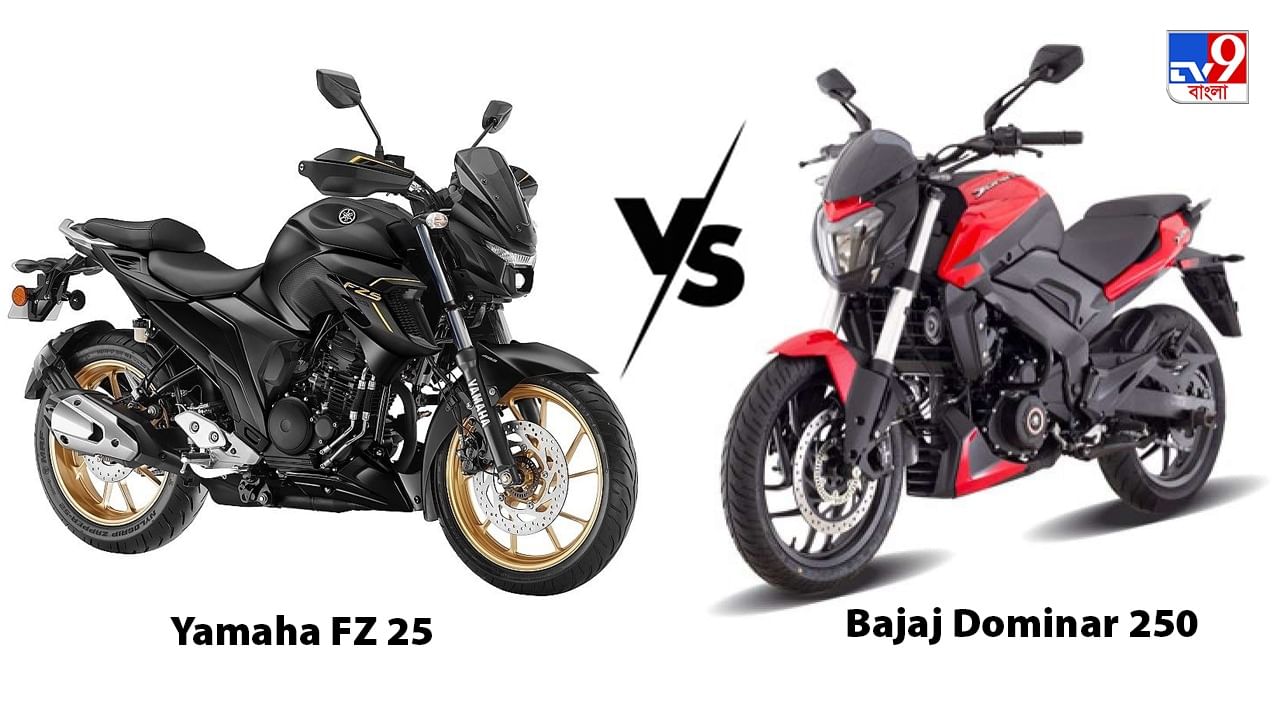 Yamaha Fz Bajaj Dominar