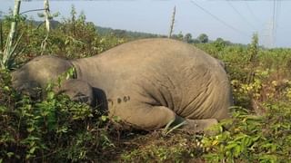 ঘর ভাঙল মন্ত্রীর! গোলাম রব্বানির দুই ভাই যোগ দিলেন বিজেপিতে