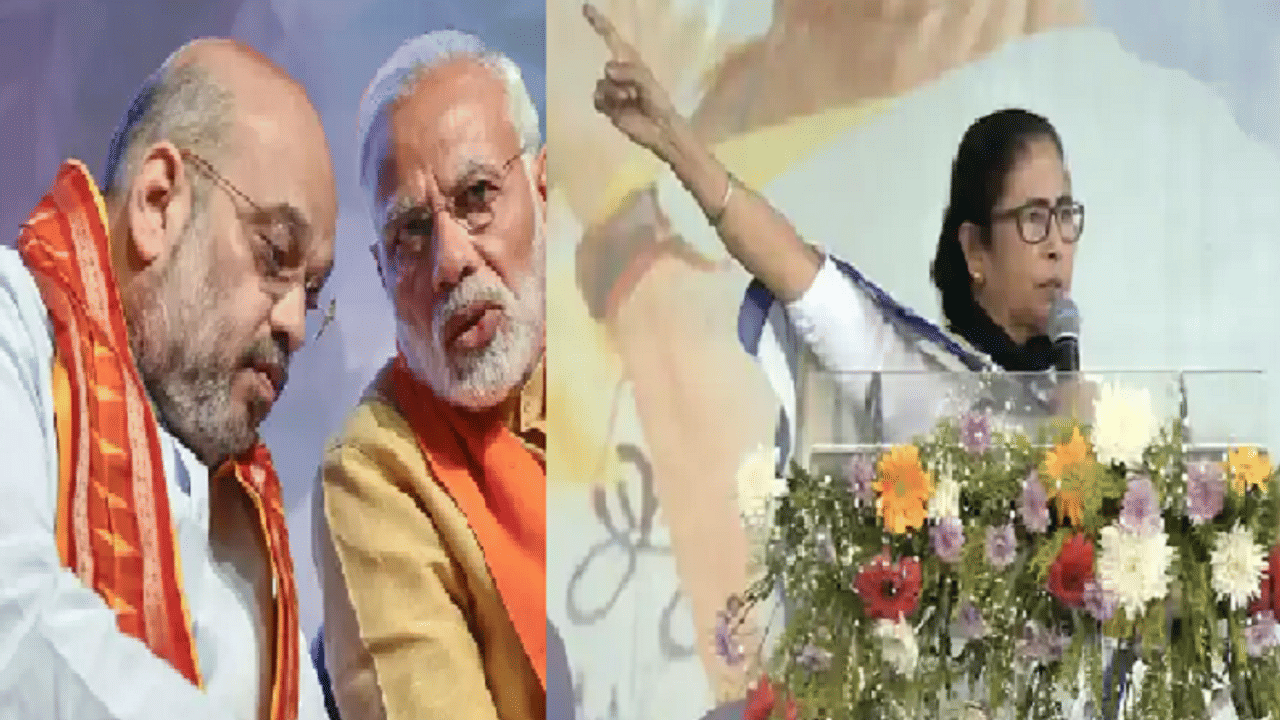 সরকার দেখেছি, এবার দল দেখে নেব. বিজেপিকে রুখতে একাই কাফি মমতা