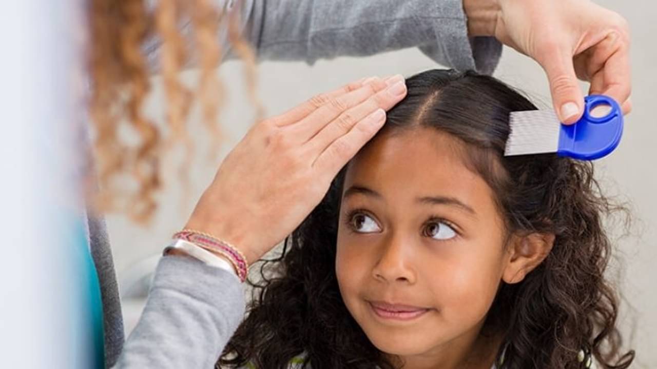 মাথায় উকুন? চুলের ক্ষতি তো হবেই দেখা যাবে এই সব সমস্যাও