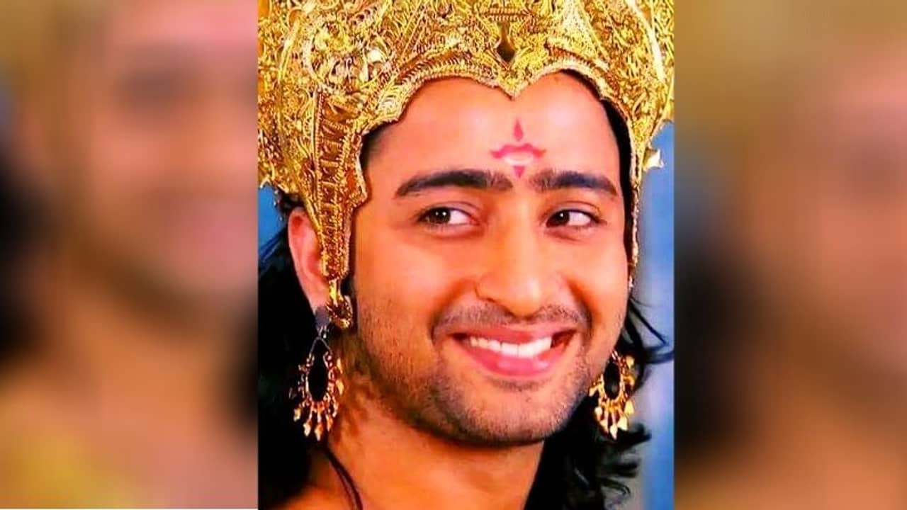 বলিউডে আবার বিয়ে, ডিসেম্বরেই পিঁড়িতে টেলিভিশনের অর্জুন?