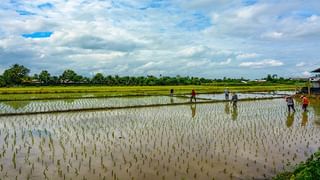 লুকিয়ে প্রেম করার ‘অপরাধে’ প্রেমিককে বেধড়ক মার প্রেমিকার দাদাদের