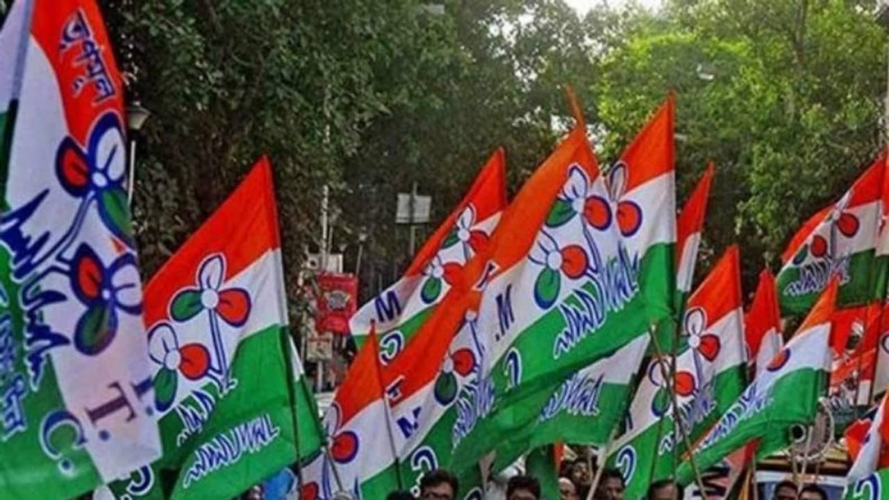 একই ইস্যুতে দুবার মিছিল তৃণমূলের দুই শিবিরের, সংশয়ে কর্মীরা