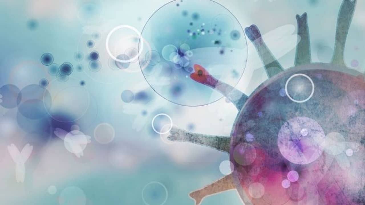 করোনা মোকাবিলায় রেজিনেরন, জরুরি ভিত্তিতে ব্যবহারে ছাড়পত্র দিল ভারত