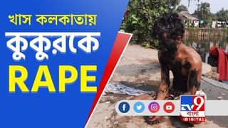 জল্পনায় কি জল ঢাললেন স্বয়ং মহারাজ ? দেখুন, দিনের সেরা ৯