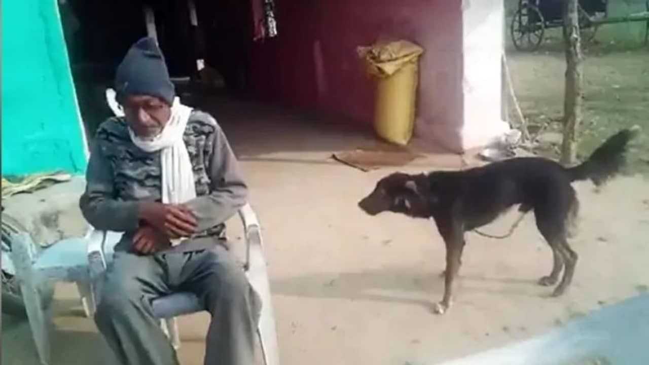 পোষা কুকুরের নামে অর্ধেক সম্পত্তি লিখে দিলেন কৃষক