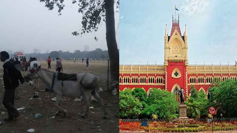 ময়দানের ভবিষ্যৎ কী? পরিকল্পনা নির্ধারণে কমিটি গঠন করল হাইকোর্ট