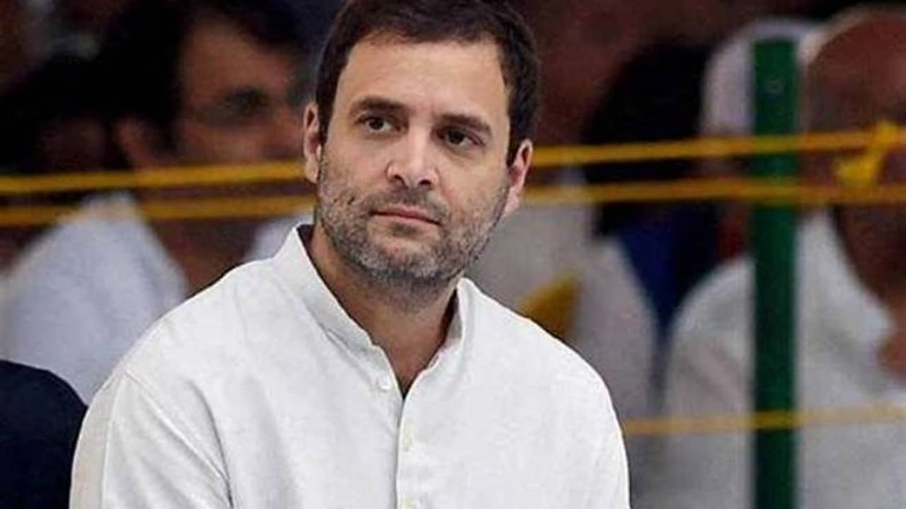 কেন্দ্রকে খোঁচা দিয়ে নববর্ষের শুভেচ্ছা রাহুলের, বললেন, কৃষকদের পাশে আছি