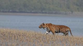 ৭ জানুয়ারি নন্দীগ্রাম যাচ্ছেন না মমতা