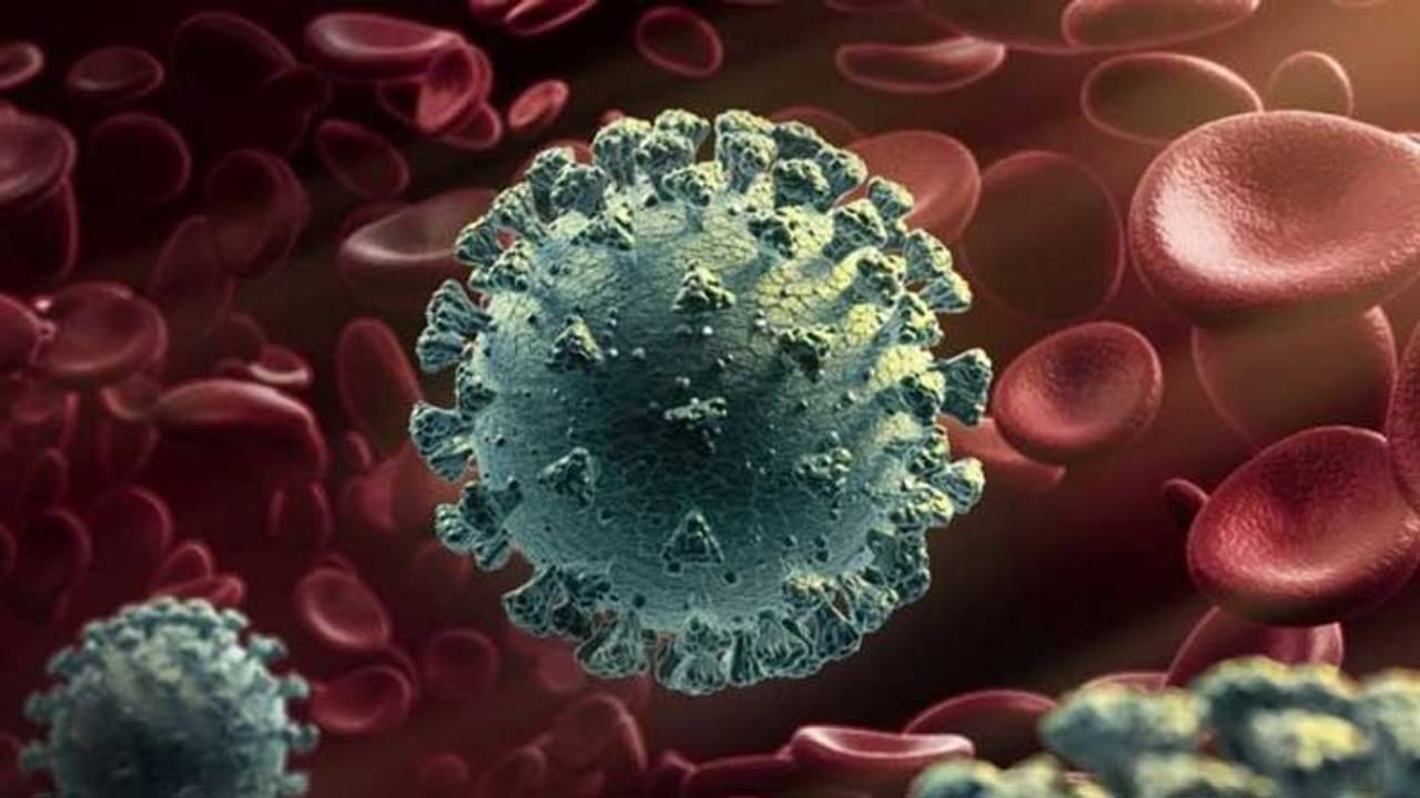 কলকাতায় ব্রিটেনের করোনা স্ট্রেন, আরটি-পিসিআর পরীক্ষা হবে ৪০০র বেশি যাত্রীর