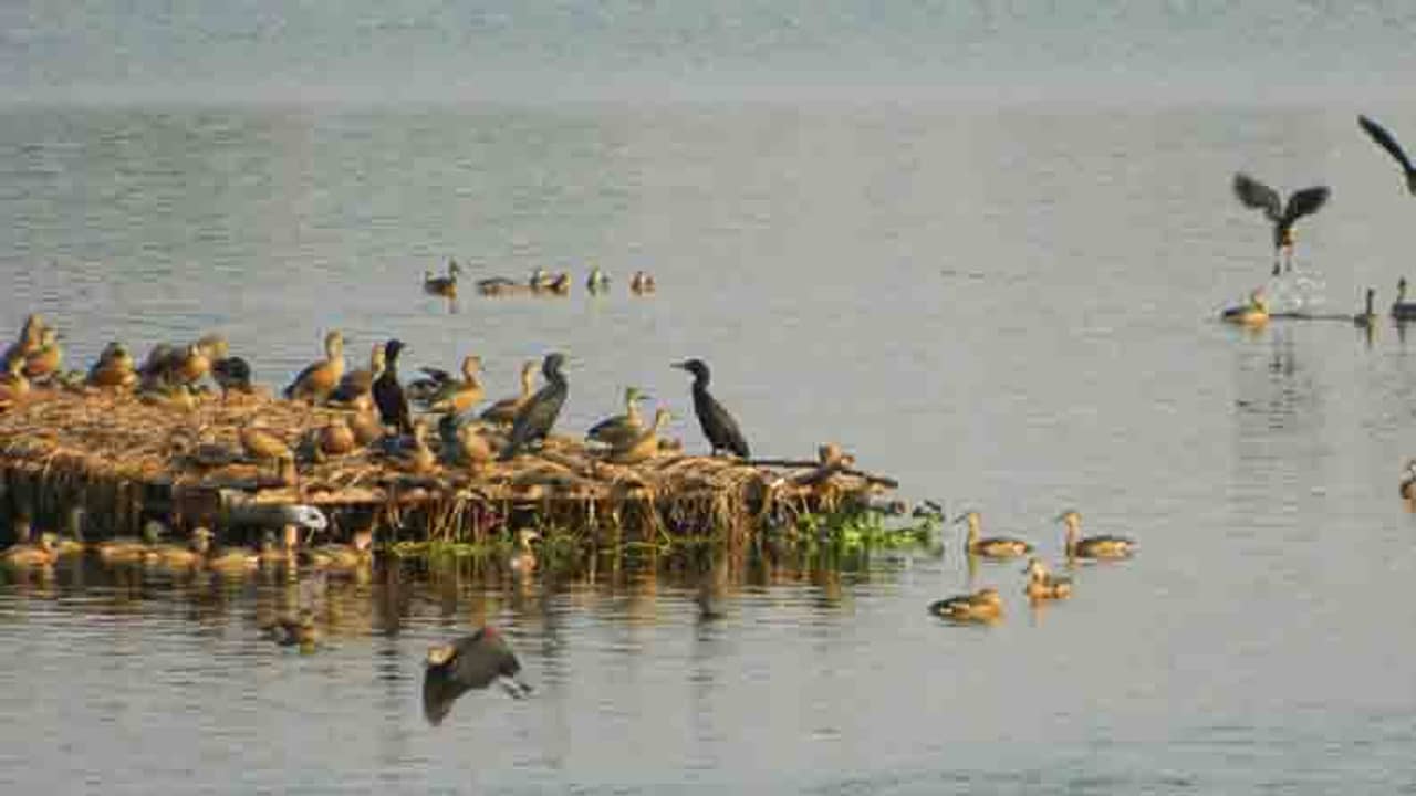 পিকনিকের প্ল্যান করছেন? কলকাতার কাছে এই সব জায়গা বেছে নিতে পারেন