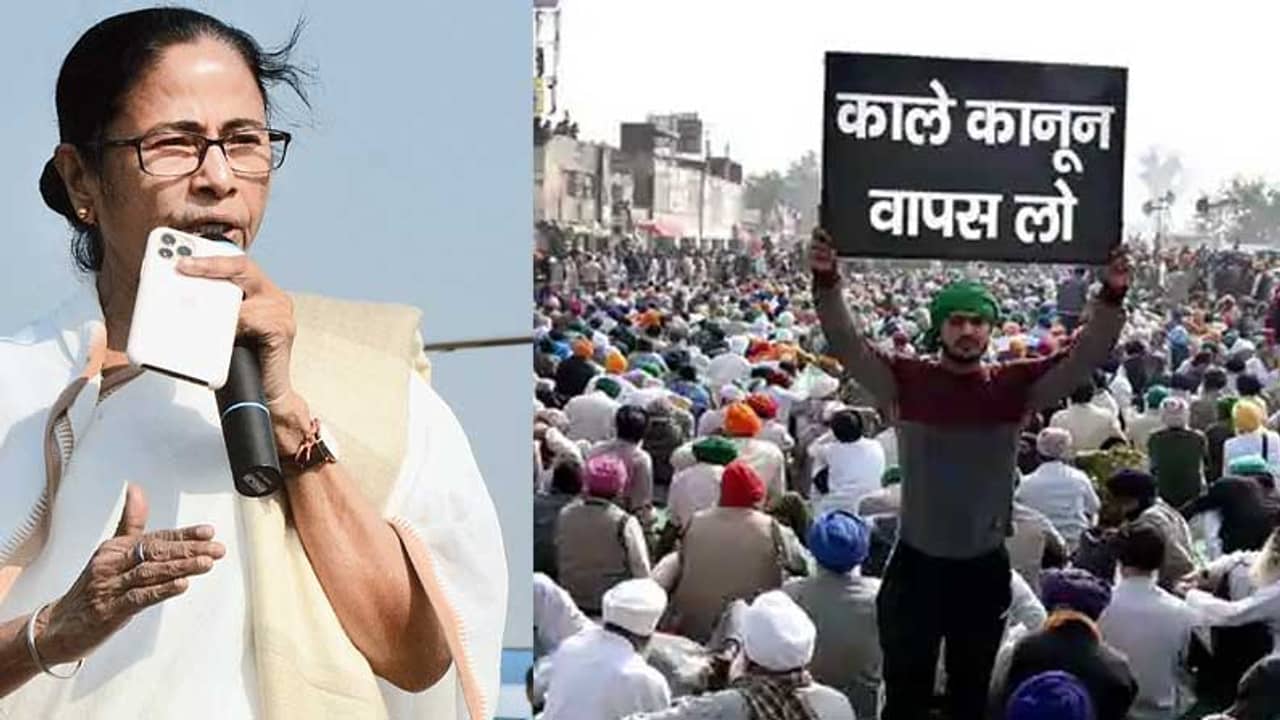 আসুন আমাদের সঙ্গে ধরনায় যোগ দিন, সিংঘু থেকে মমতাকে আহ্বান অন্নদাতাদের