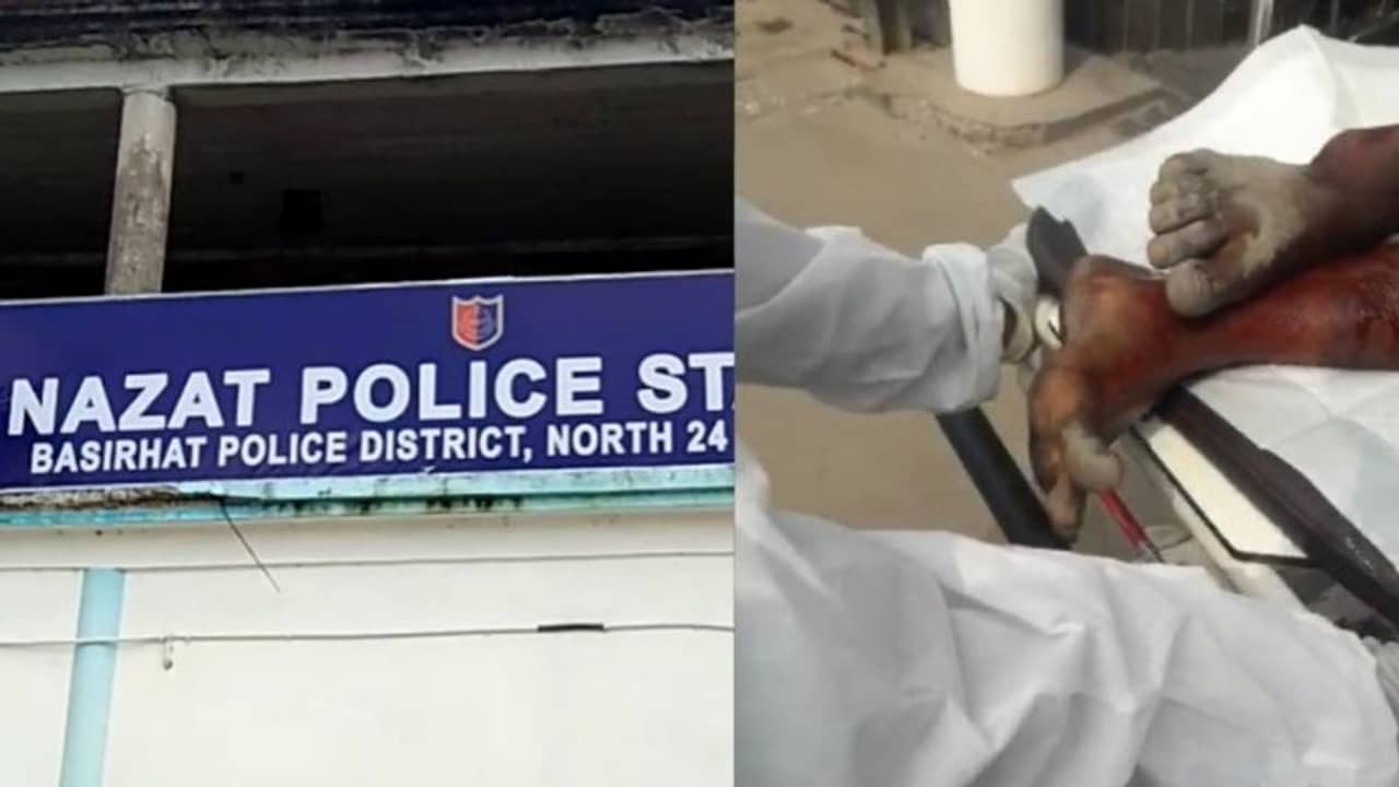 তৃণমূল নেতাকে এলোপাথাড়ি গুলি, গলগল করে ঝরছে রক্ত, ন্যাজাটে অশান্তি