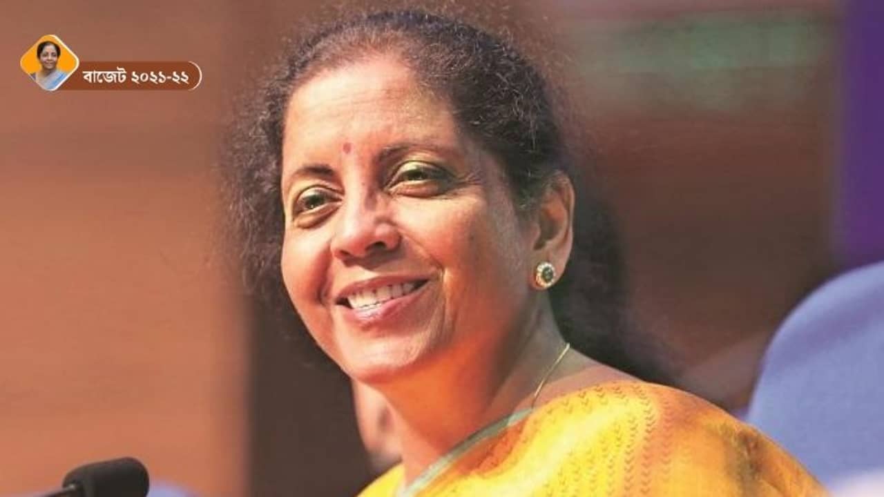 নেট বাজারে জোয়ার আনতে বড় চমক থাকতে পারে নির্মলার বাজেটে