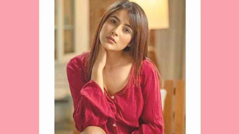 Sid-naaz: হসলা রাখ-এর শুটিংয়ে মাঝেমধ্যেই কেঁদে ফেলছেন শেহনাজ়, বার বার মনে পড়ছে সিদ্ধার্থের কথা