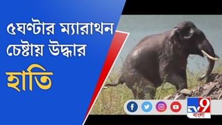 হাত, ঘাসফুলের পর এবার পদ্মে শান্তিপুরের বিধায়ক