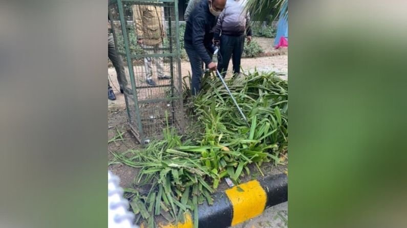 বিস্ফোরণে জোড়া দায় স্বীকার, জইশ না আইসিস-ধন্দে তদন্তকারী সংস্থা