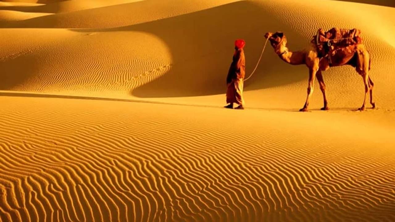 মরুভূমিতে বেড়াতে যাবেন? উইশ লিস্টে রাখুন এই সব জায়গা