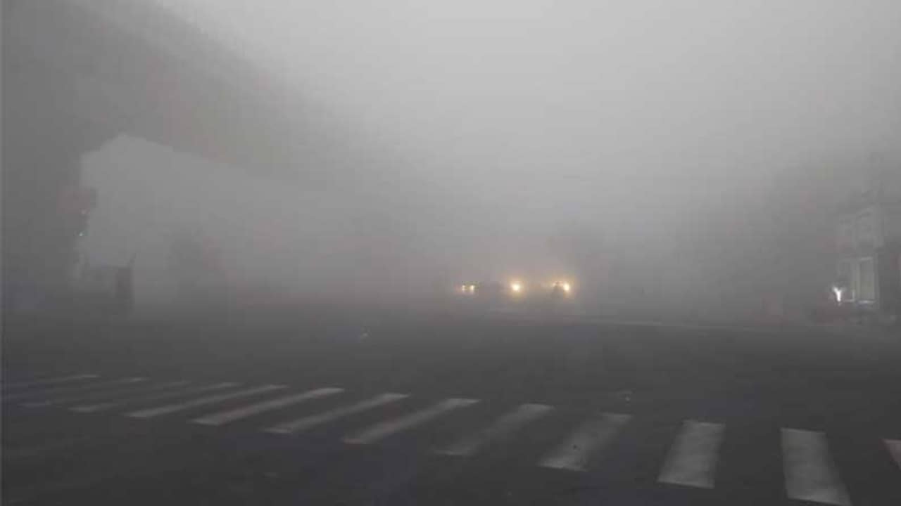 কনকনে হাওয়া, ঘন কুয়াশায় মোড়া আলসে রবিবার