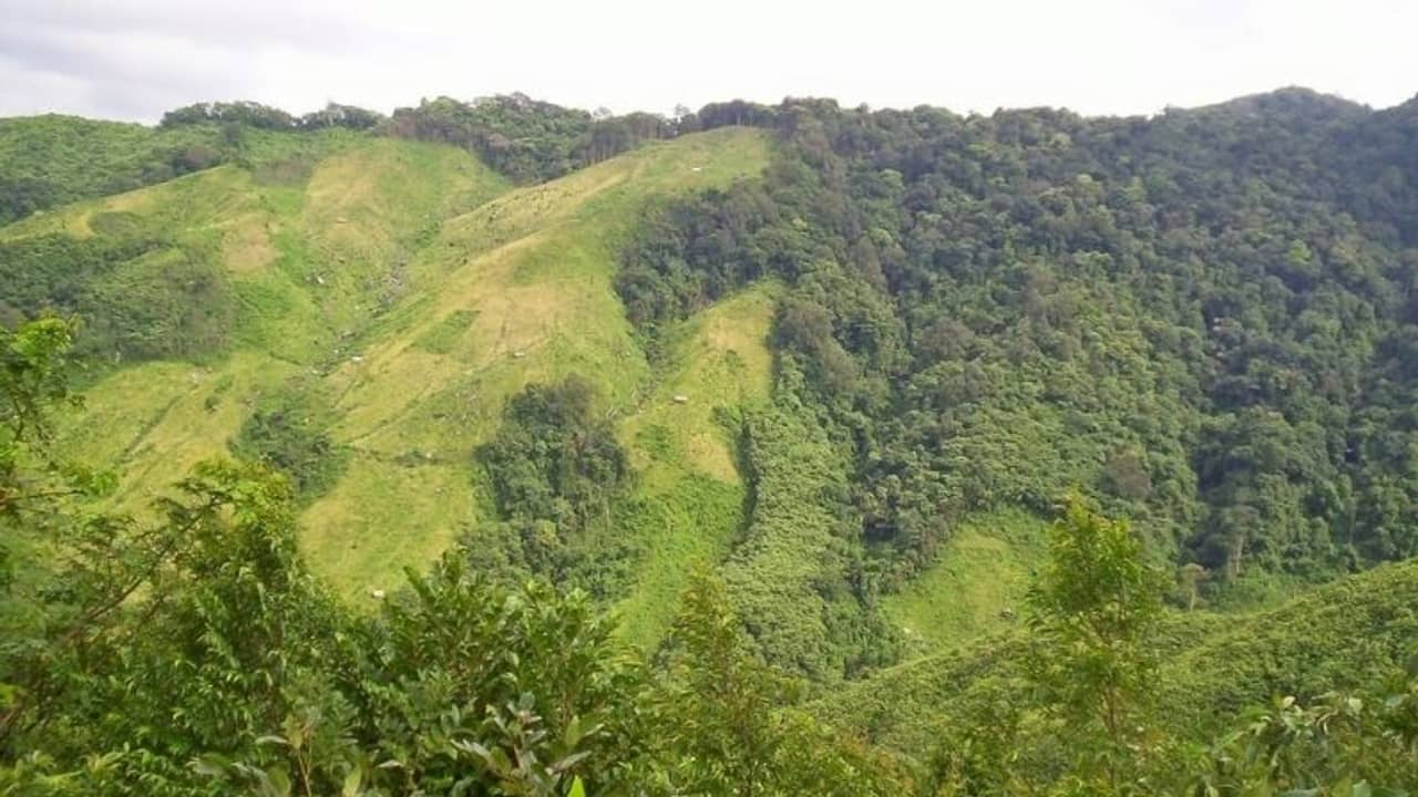 মেঘালয়ে জঙ্গলের মাঝে গর্তে পড়ে মৃত্যু ৬ পরিযায়ী শ্রমিকের