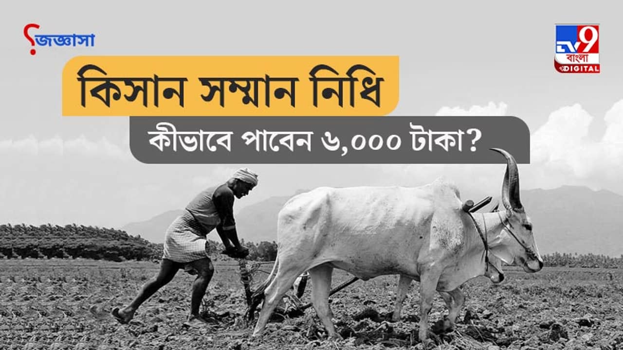 জিজ্ঞাসা: কিসান সম্মান নিধি প্রকল্পে সায় রাজ্যের! কিন্তু পাবেন কীভাবে ৬,০০০ টাকা? জেনে নিন