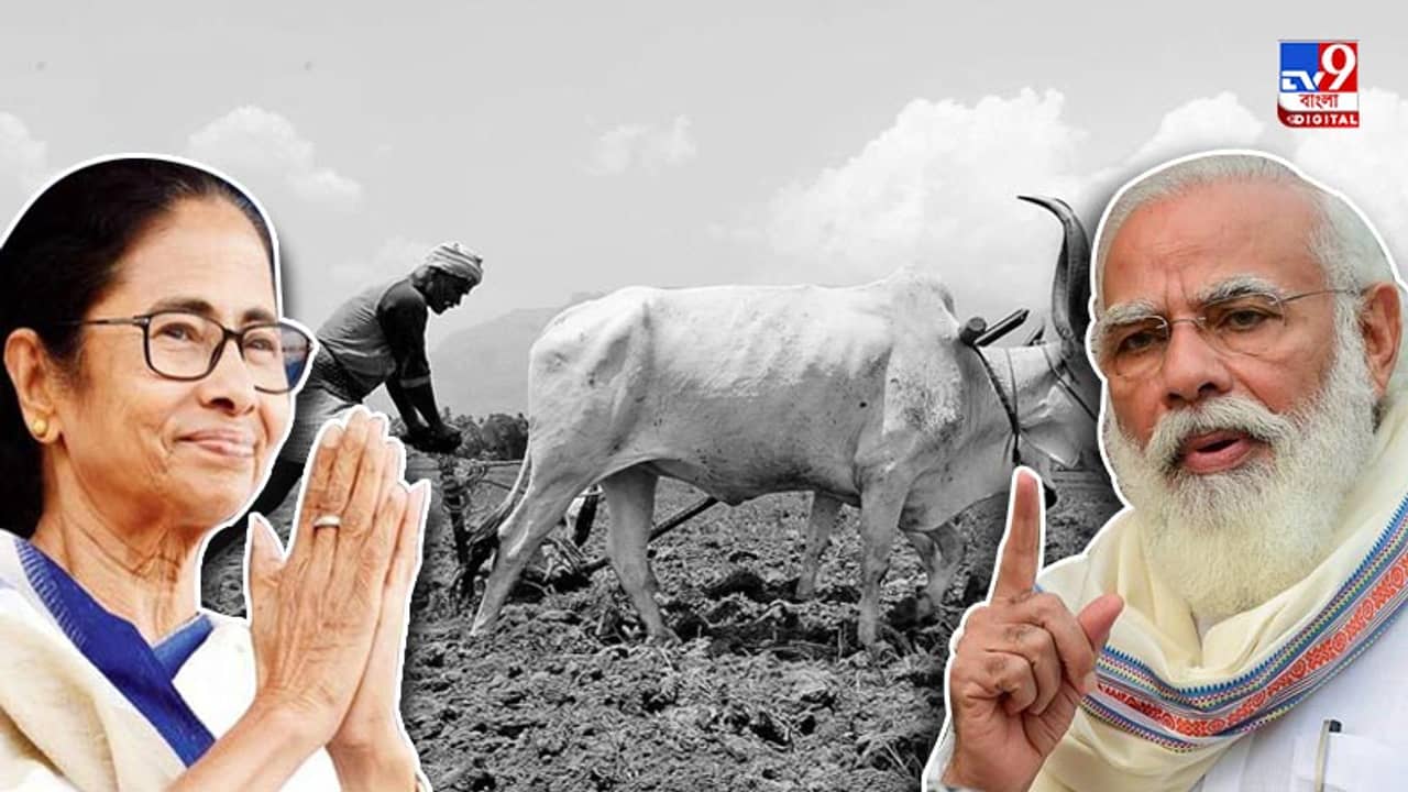 আমাদেরও বোকামি হয়েছে আসল সত্যটা বুঝতে পারিনি, কিসান নিধিতে সায় মমতার