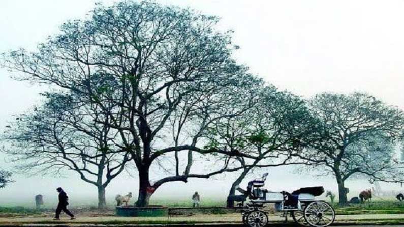 সকাল থেকেই কুয়াশার জাল, বৃষ্টির আভাস হাওয়া অফিসের