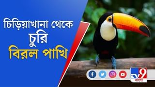 কলকাতায় আধাসেনাকে সঙ্গে নিয়ে অভিযানে ইডি, টার্গেট কে?