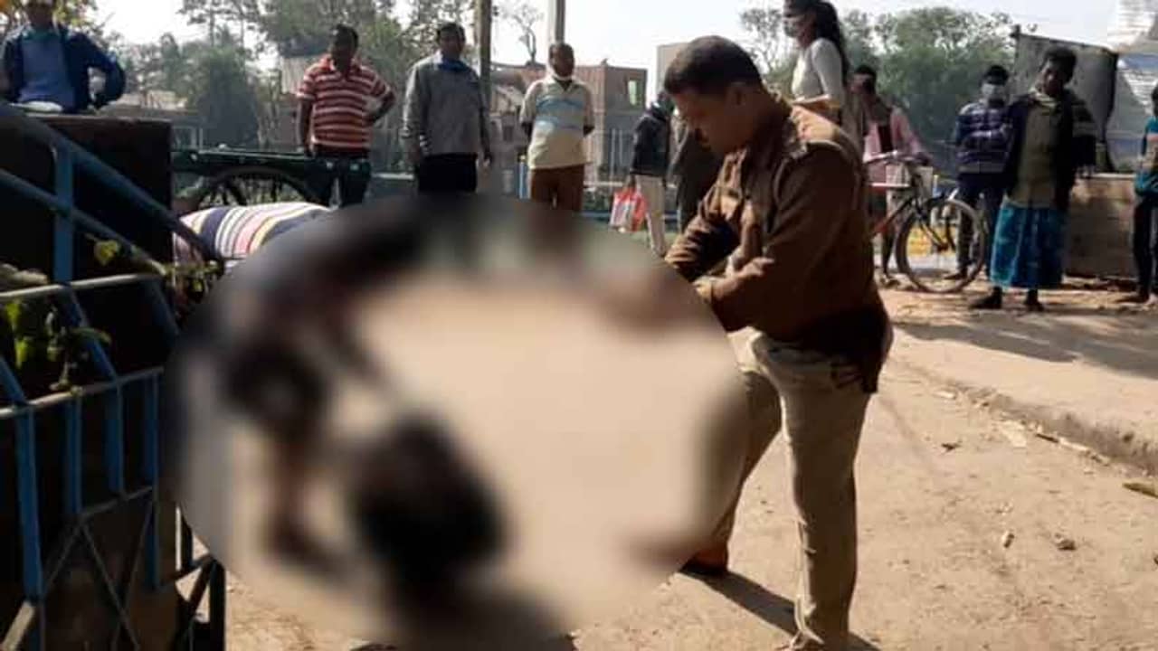 কুকুর মুখে করে এনে দরজার সামনে ফেলে, উদ্ধার সদ্যোজাত কন্যাসন্তানের দেহ !