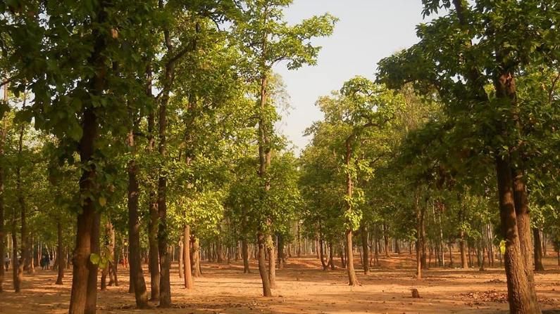 Shantiniketan