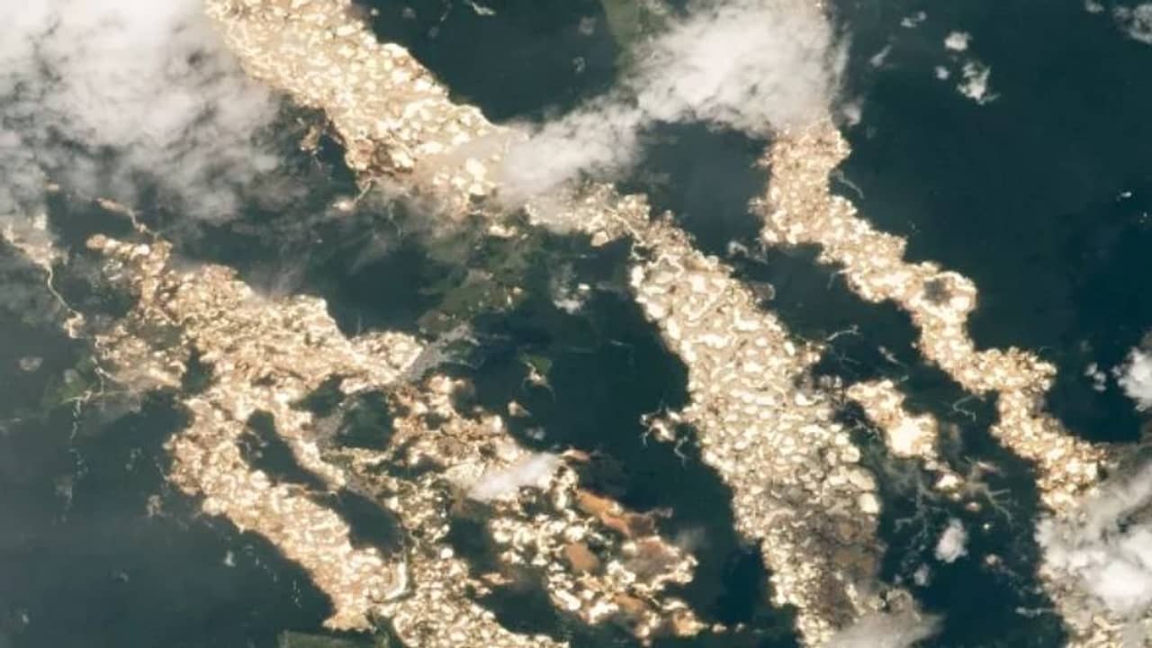 নদীতে ভাসছে ভরি ভরি সোনা, যেন এল ডোরাডো