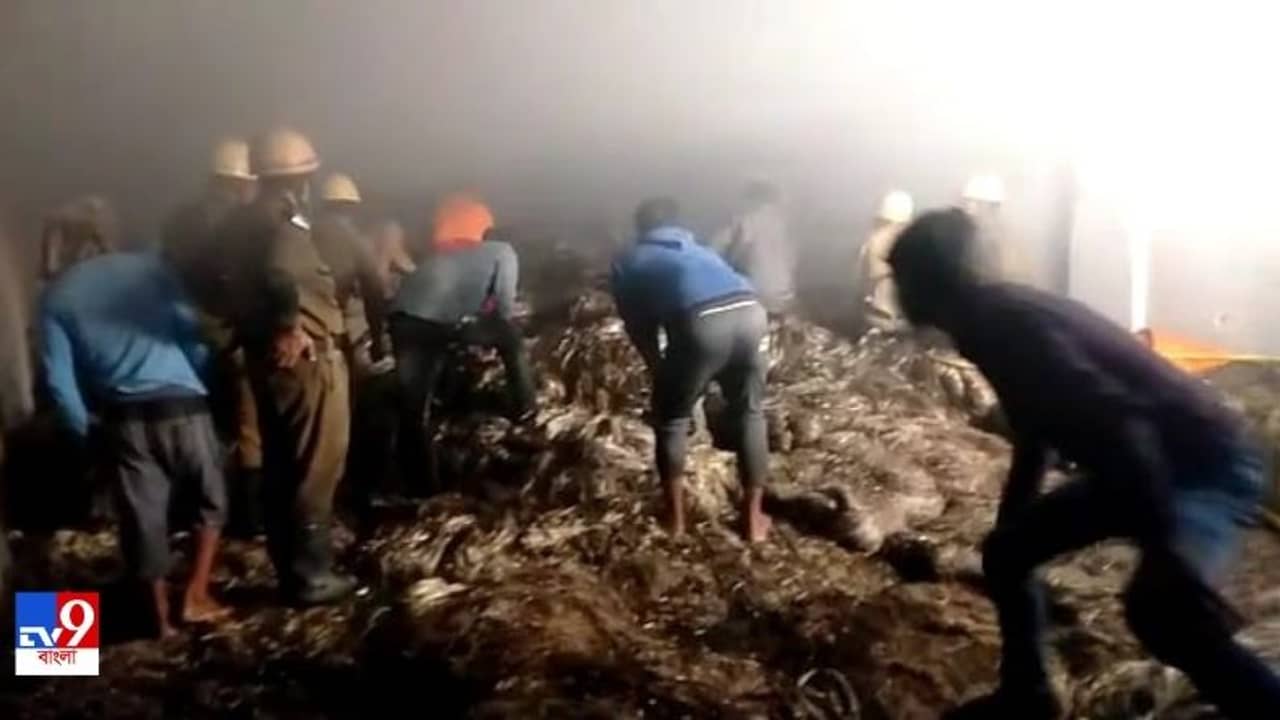 তারকেশ্বরে পাটের গুদামে আগুন, পুড়ে ছাই ১০ লাখ টাকার পাট