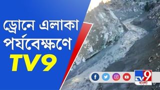 ২৫ হাজার ভোল্টের ইলেকট্রিক খুঁটিতে চেপে তাণ্ডব সাধুর