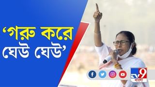 তৃণমূল বাদে অন্যকে ভোট মানেই বিজেপির দিকে, বহরমপুরে মমতার সাফ বার্তা