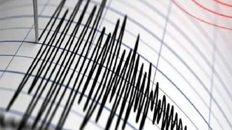 Earthquake: ভূমিকম্পে কেঁপে উঠল দার্জিলিং-কালিম্পং, কাঁপল সিকিমও