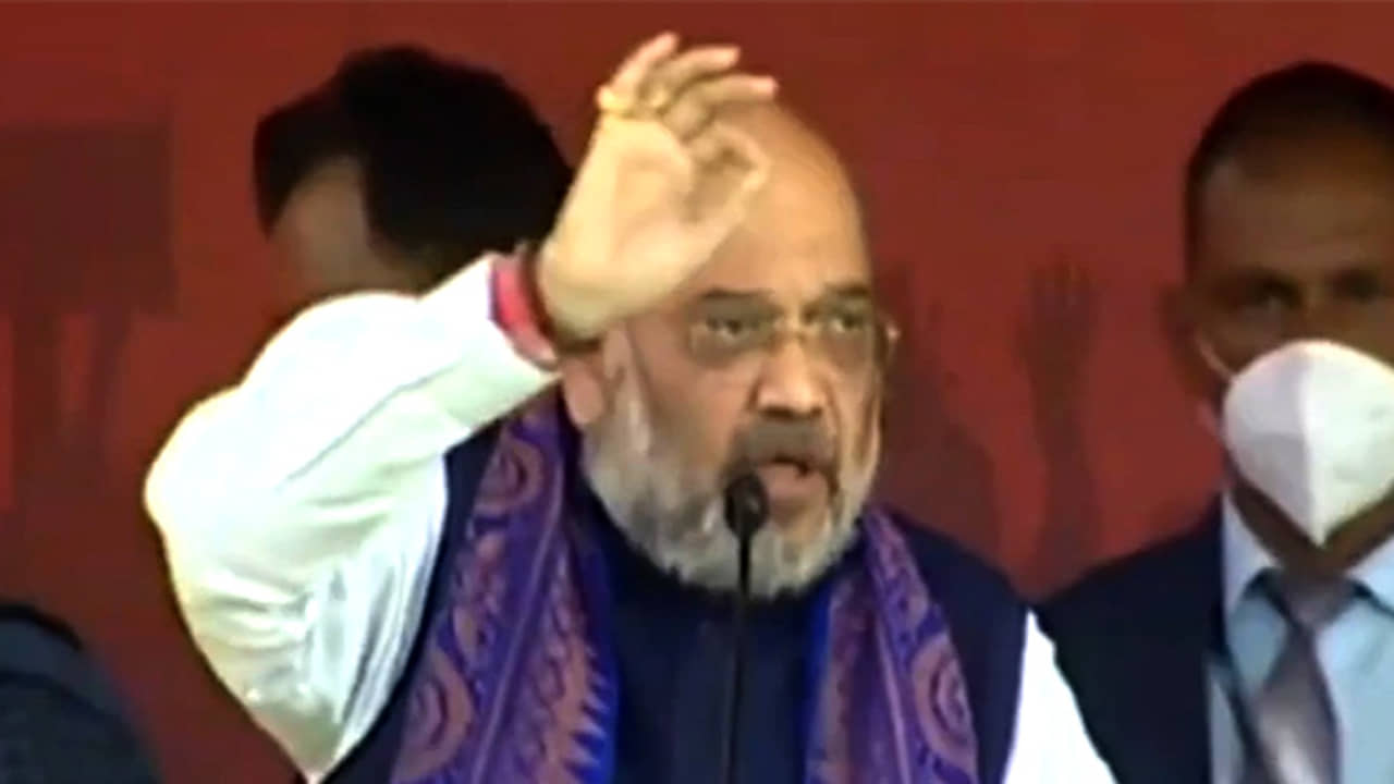 মানুষ তো ছাড়ুন, বিজেপি ক্ষমতায় এলে পাখিও ঢুকতে পারবে না বাংলায়: শাহ