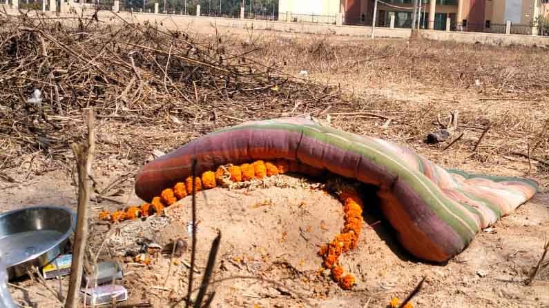 বিশ্বভারতীর ভিতরে 'কবর', বিছনো গাঁদা ফুল, ঘুম ছুটেছে স্থানীয় বাসিন্দাদের