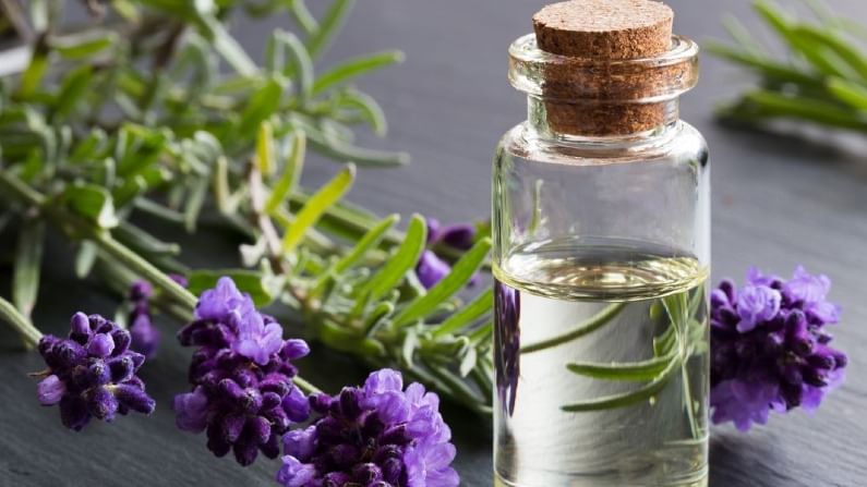 সুগন্ধযুক্ত ল্যাভেন্ডার তেল ব্যবহার করুন:
নিজের বাড়ির টেবিলে বা অফিসের ডেস্কে একটা ল্যাভেন্ডার তেলের বোতল রাখুন। ল্যাভেন্ডার তেল দুশ্চিন্তা নিরাময় করতে সাহায্য করে। ল্যাভেন্ডার তেল মাথা ঠান্ডা রাখতে, গভীরে ভাবতে এবং শান্তিতে ঘুম আনতে সাহায্য করে।