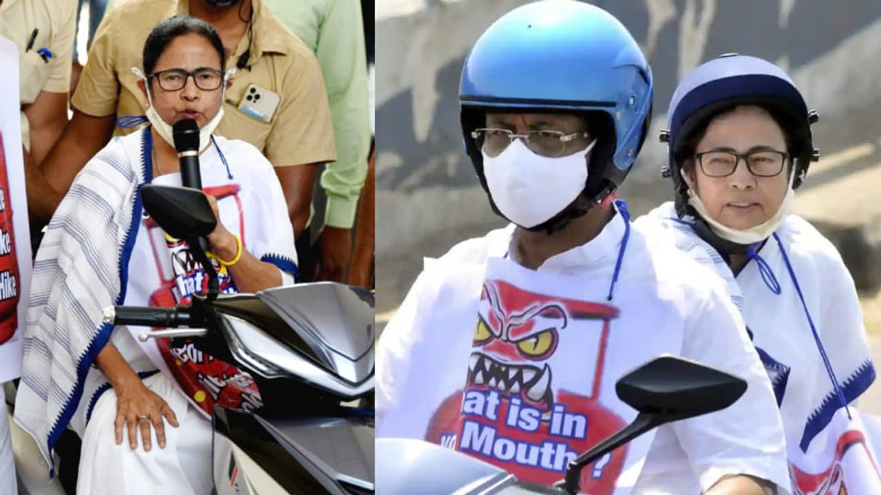 এ বার যে কোনও জায়গায় চলে যাব...খুঁজে বেড়াবে, আমাকে কোথায় পাবে কোনও ঠিক নেই: মমতা