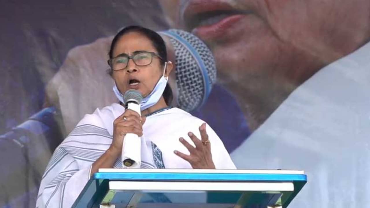 তৃণমূলে কেউ অন্যায় করলে বলুন কানটা মুলে দেব, কালনায় বার্তা মমতার