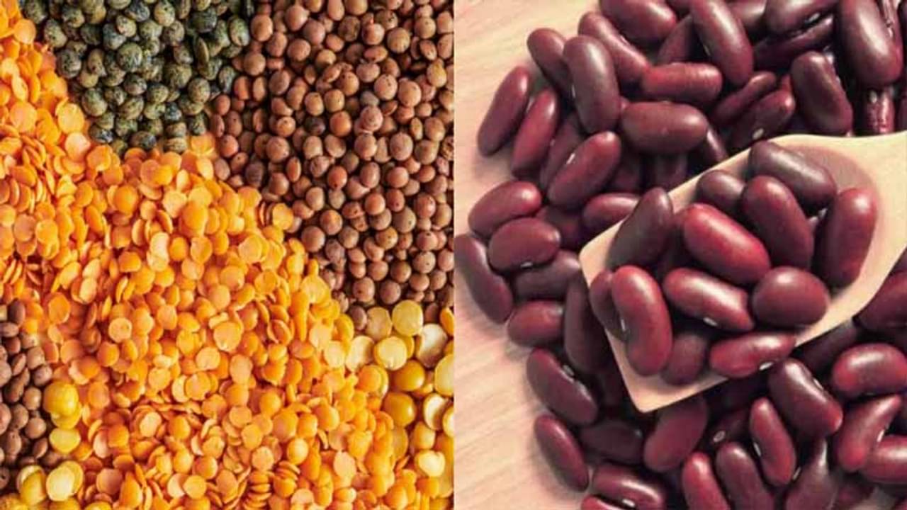 নিরামিষ খাবার খান? প্রতিদিনের মেনুতে থাকুক এই পাঁচ পদ, শরীরে হবে না প্রোটিনের ঘাটতি