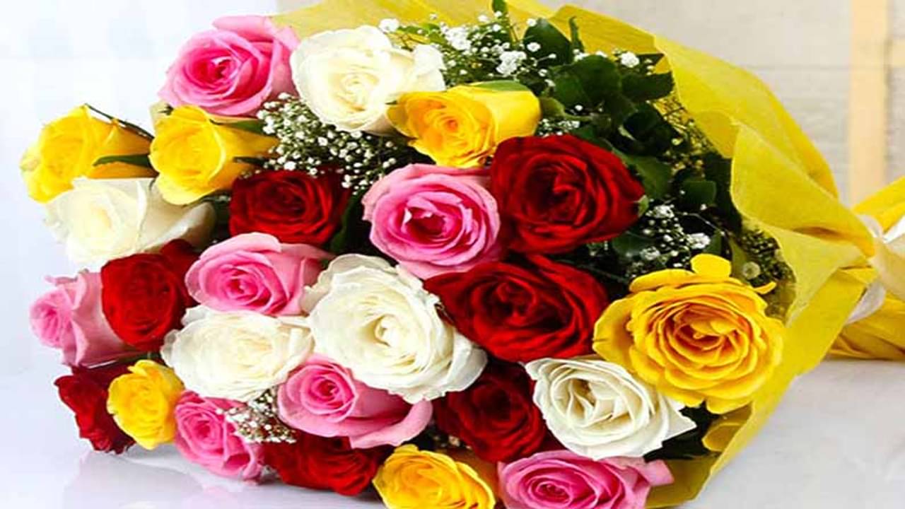 ভালবাসার মরশুমে শুধু লাল নয়, প্রিয় মানুষকে উপহার দিন নানা রঙের গোলাপ