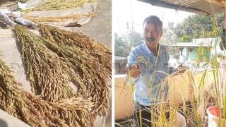 ভিডিয়ো: বিজেপি কর্মীর বাড়িতে গিয়ে মহিলাদের ধর্ষণের হুমকি দুষ্কৃতীদের