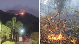 রাজ্য সড়কে ফের ভয়াবহ দুর্ঘটনা, তাল গাছে ধাক্কা মেরে খাদে পড়ল গাড়ি, মৃত ২ ভাই