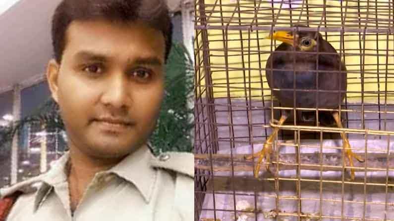 স্ট্র্যান্ড রোডের আগুনে পুড়েছে শালিক পাখিটার মনও, কিচ্ছু না খেয়েই গৌরবের অপেক্ষায় ঠাঁয় বসে স্ট্র্যান্ড রোডের আগুনে পুড়েছে শালিক পাখিটার মনও, কিচ্ছু না খেয়েই গৌরবের অপেক্ষায় ঠাঁয় বসে