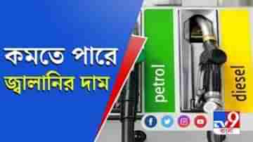 কমতে পারে পেট্রোল, ডিজেলের দাম, সিদ্ধান্ত মার্চেই