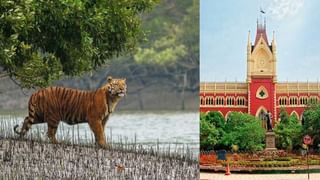 বিছানায় পড়ে মা, আঁচল আঙুলে পেঁচিয়েই নিথর ৬ বছরের শিশু, পাশে আরও দুই ভাইবোন! বাকরুদ্ধ প্রতিবেশীরা