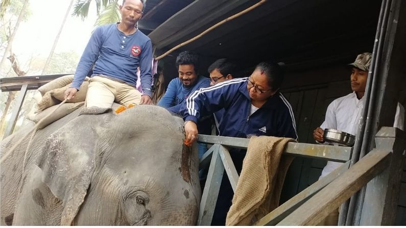 মিতালীকে পুজো দিয়ে ভোটপ্রচার শুরু তৃণমূলের মিতালীর