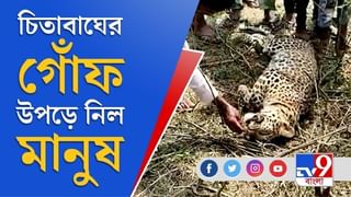 রাজ্য সড়কে ফের ভয়াবহ দুর্ঘটনা, তাল গাছে ধাক্কা মেরে খাদে পড়ল গাড়ি, মৃত ২ ভাই