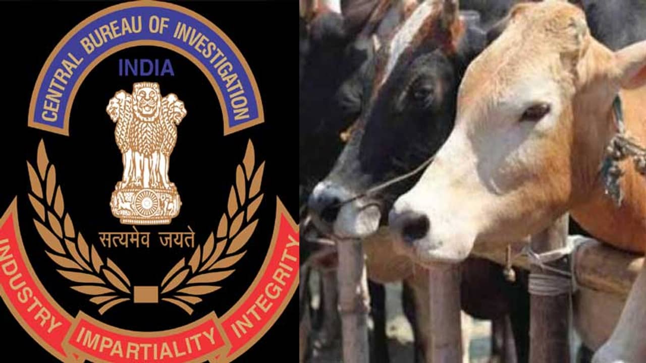 গরু পাচারকাণ্ডে সিবিআই দফতরে হাজিরা দুই আইপিএসের